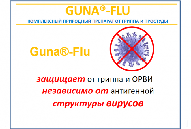 flu04