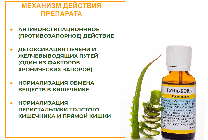 бов6